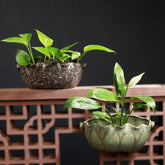 Hanging Ceramic Half Wall Decoration Flower Pot Creative Hydroponics Green Radish